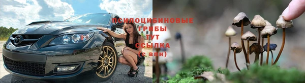 ALPHA-PVP Краснотурьинск