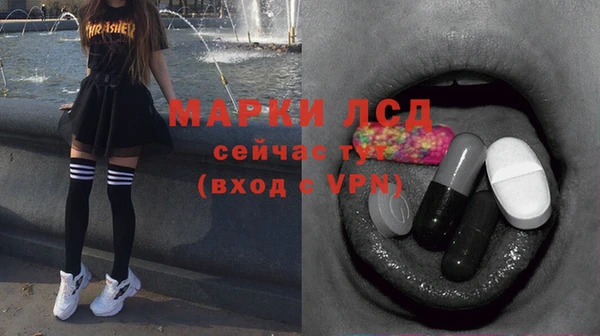 спиды Краснослободск