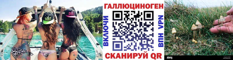 где можно купить наркотик Называевск Галлюциногенные грибы GOLDEN TEACHER
